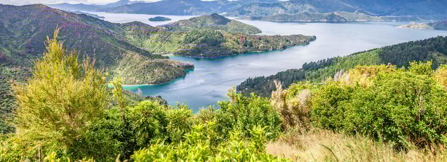 Marlborough Sounds et croisière à Ship Cove depuis Picton