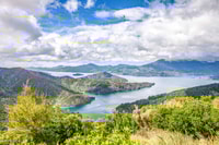 Marlborough Sounds and Ship Cove Cruise depuis Picton - Housity