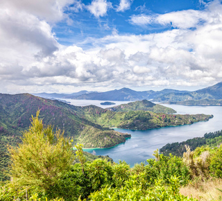 Ship Cove: Day Trips and Tours from Picton