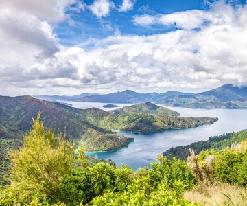Crucero por Marlborough Sounds y Ship Cove desde Picton