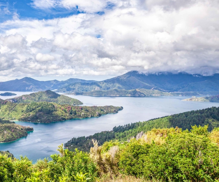 Marlborough Sounds and Ship Cove Cruise from Picton