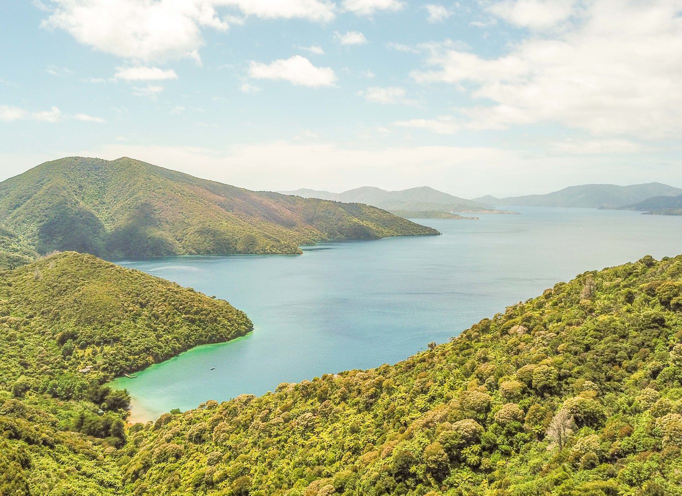 Krydstogt i Marlborough Sounds og Ship Cove fra Picton