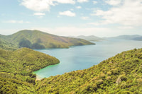 Marlborough Sounds y Ship Cove Cruise desde Picton - Housity