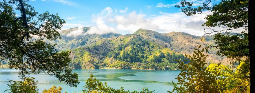 Le sentier de la Reine-Charlotte : Croisière et randonnée autoguidée au départ de Picton