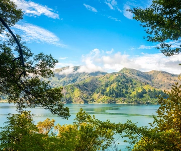 Queen Charlotte Track: Crucero y excursión autoguiada desde Picton