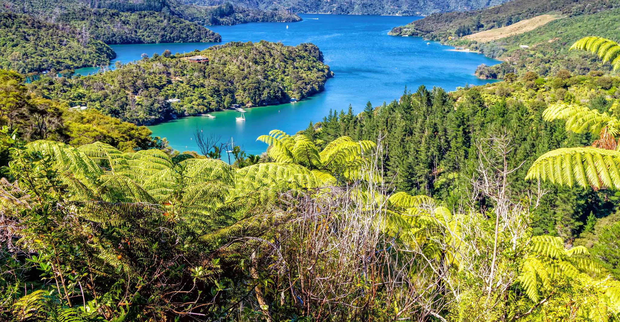 Queen Charlotte Track, Cruise & Self-Guided Hike from Picton - Housity