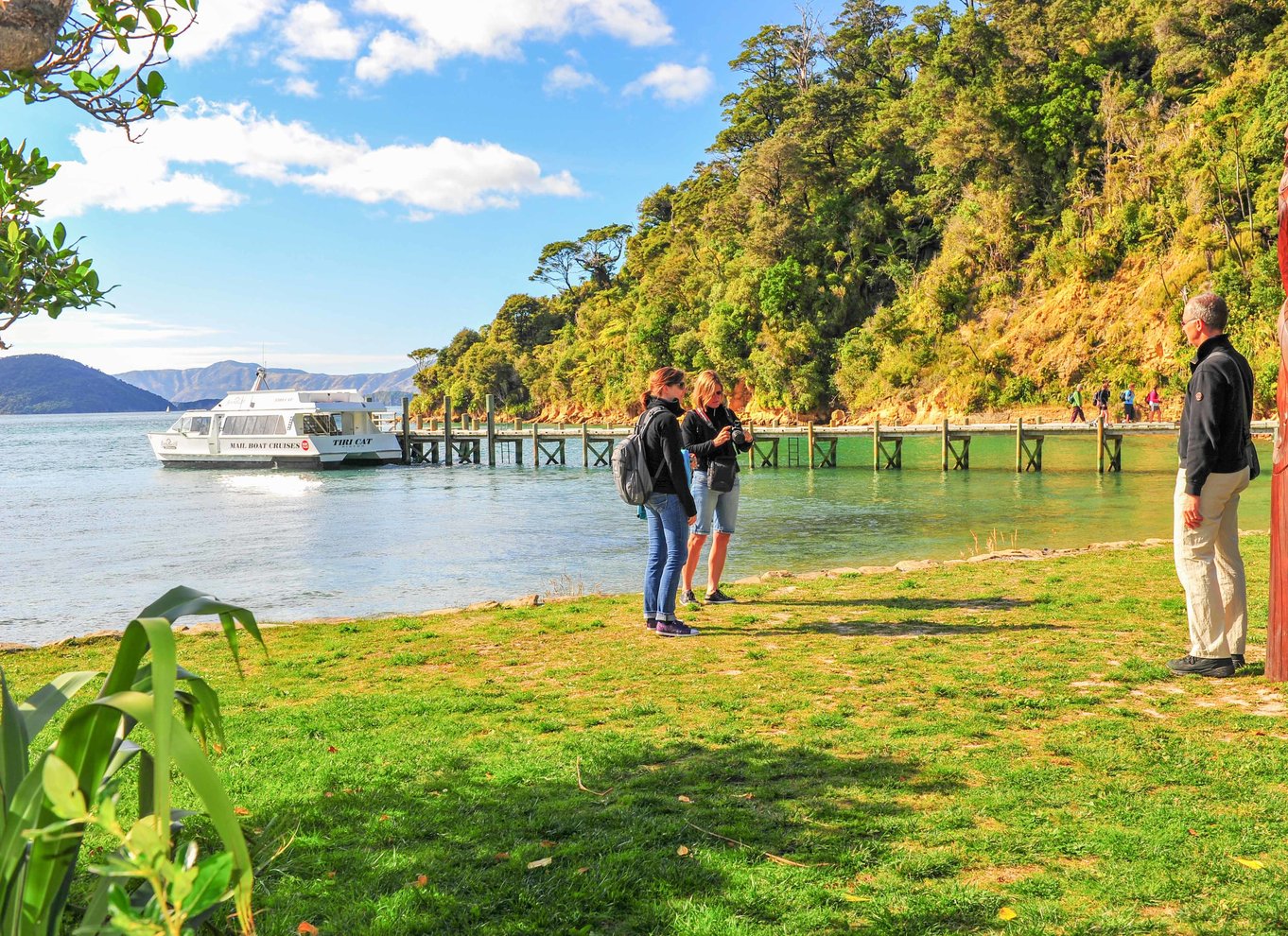 Krydstogt i Marlborough Sounds og Ship Cove fra Picton