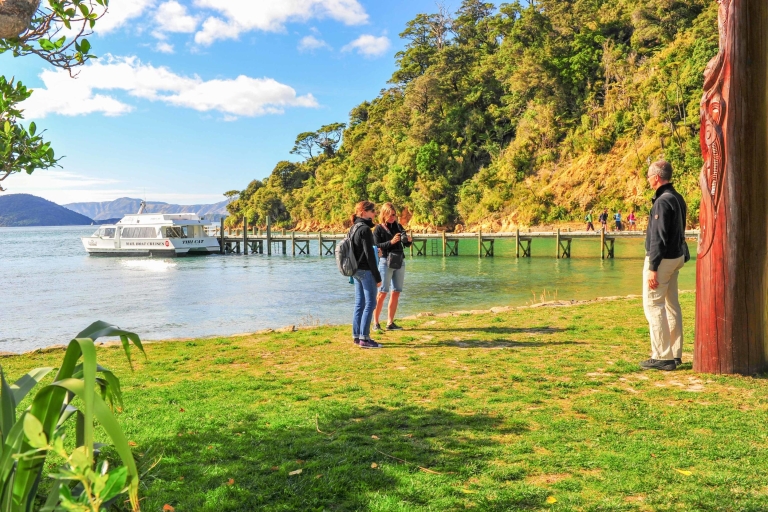 Marlborough Sounds and Ship Cove Cruise from Picton