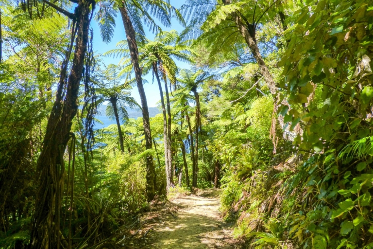 Queen Charlotte Track: Cruise & Self-Guided Hike from Picton Self-Guided 15km Walk: Ship Cove to Furneaux Lodge