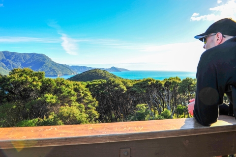 Le sentier de la Reine-Charlotte : Croisière et randonnée autoguidée au départ de PictonMarche autoguidée de 12,7 km : Furneaux Lodge à Punga Cove Resort