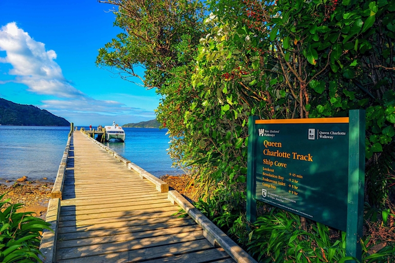 Queen Charlotte Track: cruise en zelfgeleide wandeling vanuit PictonZelfgeleide wandeling van 12,7 km: Furneaux Lodge naar Punga Cove Resort