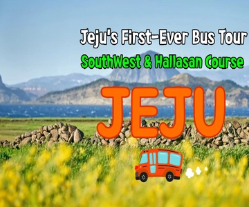 Isola di Jeju: Tour di un giorno intero a sud-ovest in autobus con biglietti d'ingresso