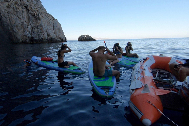 Santorini: avventura di stand-up paddle e snorkelingSantorini: Stand Up Paddle e Snorkel Adventure