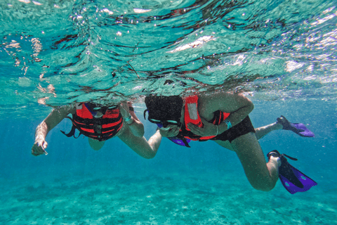 Tulum: Snorkeling at Paradise Reef