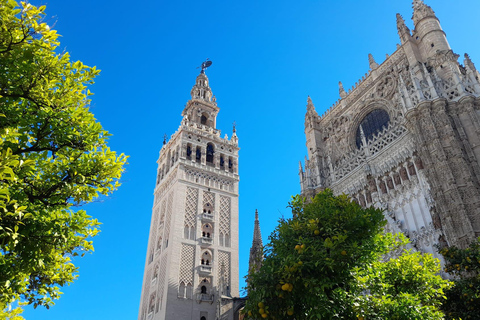Seville: Entrance and guided tour of the Cathedral Seville: Entrance fee and guided tour Cathedral