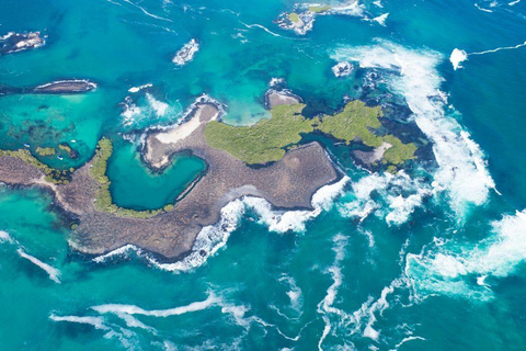 Full-day sightseeing tour from Santa Cruz to explore Isabela Island