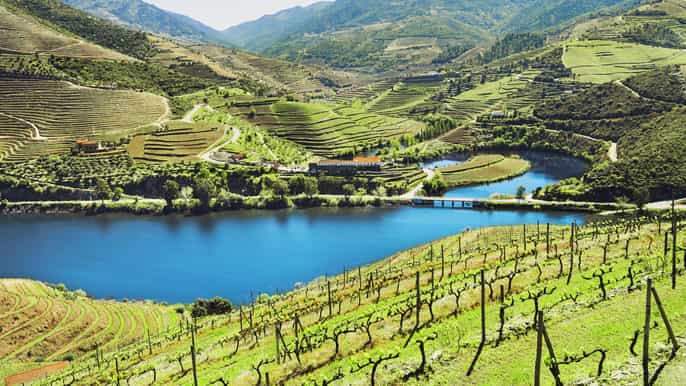 fullday douro wine tour with lunch and river cruise