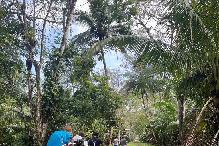 Från Panama City: 5 dagar med Embera-samhället i Darién-regnskogen