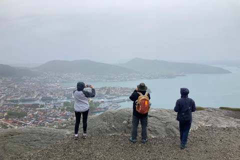 Bergen: Scenic Mountain Hike with Local Guide, Coffee&Snacks Bergen: Scenic Mountain Hike with LocalGuide, Coffee&Snacks