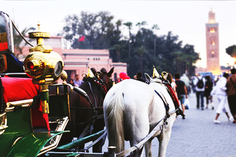 Marrakech: Private 2-Hour Horse-Drawn Carriage Tour