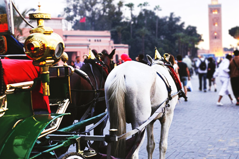 Marrakech: Private 2-Hour Horse-Drawn Carriage Tour