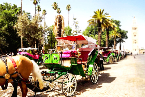 Marrakech: Private 2-Hour Horse-Drawn Carriage Tour