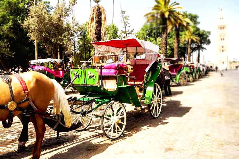 Marrakech: Private 2-Hour Horse-Drawn Carriage Tour