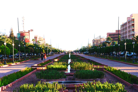 Marrakech: Private 2-Hour Horse-Drawn Carriage Tour