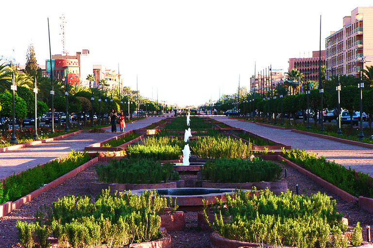 Marrakech: Private 2-Hour Horse-Drawn Carriage Tour