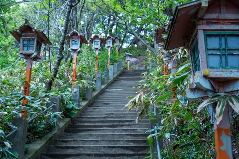 Aomori: Private Day Trip from airport/hotel/port (8h)