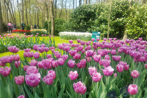 Von Amsterdam aus: Tulpentour Keukenhof & Stadtführung DelftVon Amsterdam aus: Tulpentour Keukenhof & Stadtrundfahrt Delft