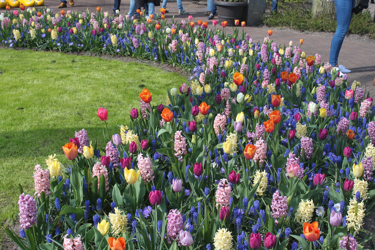 Au départ d'Amsterdam : Visite des tulipes à Keukenhof et visite de la ville de Delft