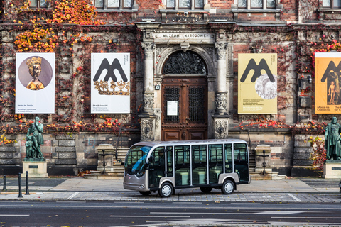 Breslau: 1-stündige Sightseeingtour mit dem ElektroautoBreslau: Sightseeing-Tour im Elektro-Auto