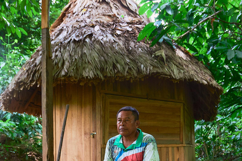 Cahuita National Park+Bribri Chocolate Tour+Waterfalls Tour+Lunch