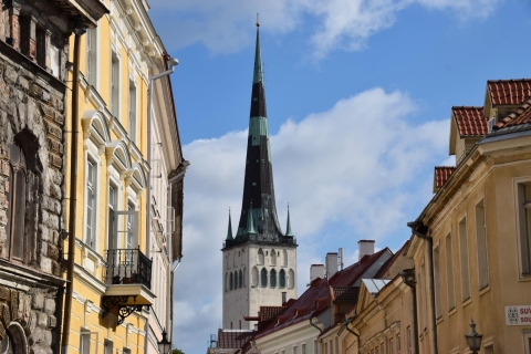 Tallinn: principales attractions et musée en plein air de ViimsiOption standard