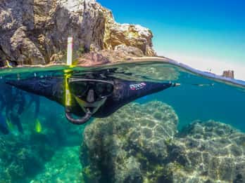 From L’Estartit: Snorkeling Trip to the Medes Islands