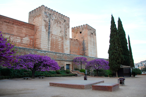 Granada: Alhambra en Paleis Karel V TourRondleiding in het Engels