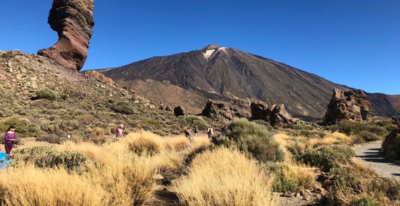 Tenerife: Teide National Park, Masca, Icod & Garachico Tour