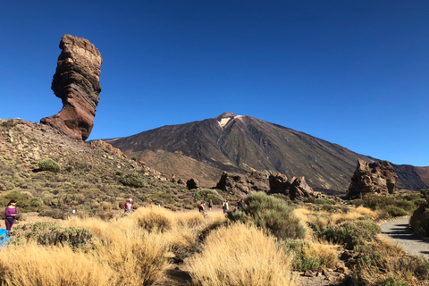 Teneryfa: Jednodniowa wycieczka na Teide, do Masca, Icod i GarachicoWylot z obszaru południowego