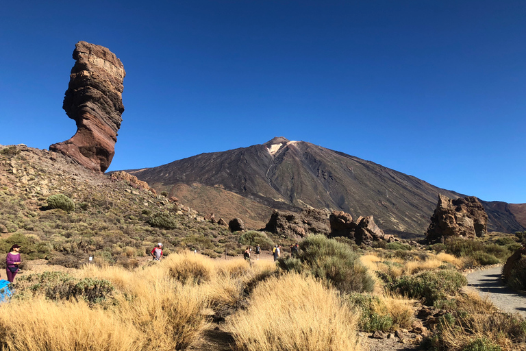 Tenerife: Mount Teide, Masca, Icod and Garachico Day TripDeparture from South Area