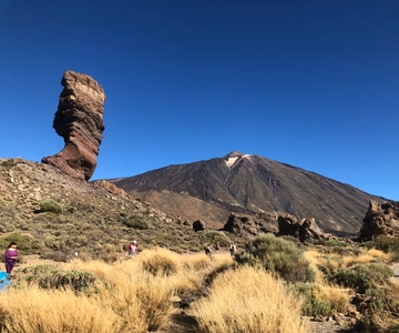 Tenerife: Dagtrip naar de berg Teide, Masca, Icod en Garachico