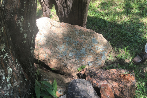 Johannesburg: Ganztägige Tour zum Weltkulturerbe Vredefort DomeJoburg: Vredefort Dome Welterbestätte Ganztagestour