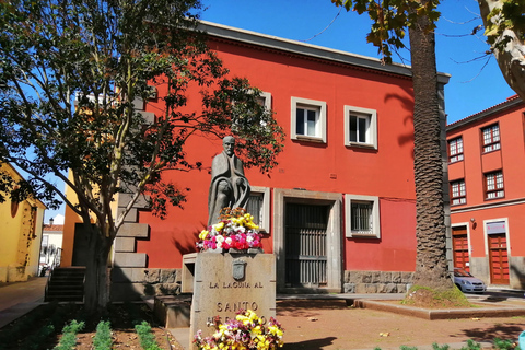 Ténérife : visite de Santa Cruz, La Laguna et TagananaSanta Cruz - La Laguna - Taganana depuis la zone sud