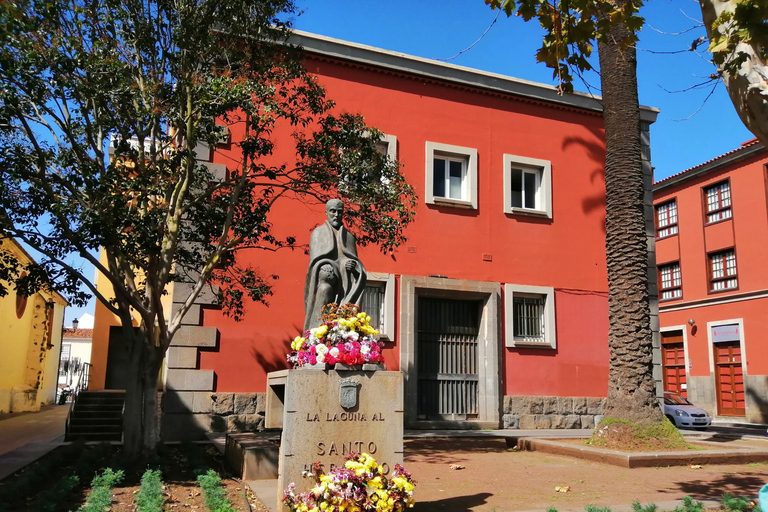 Teneryfa: Santa Cruz, La Laguna i Taganana TourSanta Cruz – La Laguna – Taganana z południa