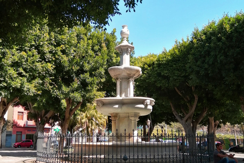 Ténérife : visite de Santa Cruz, La Laguna et TagananaSanta Cruz - La Laguna - Taganana depuis la zone sud