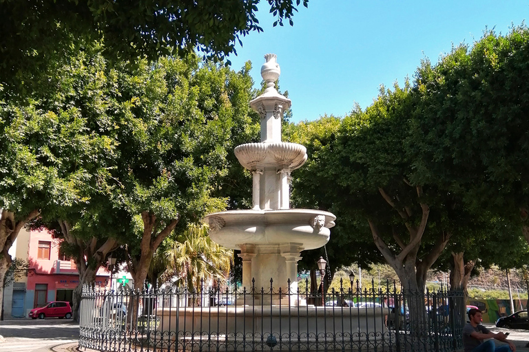 Tenerife: Tour Santa Cruz, La Laguna y TagananaSanta Cruz, La Laguna y Taganana desde la zona sur