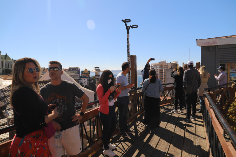 From Santiago: Full-Day Tour of Viña del Mar and Valparaiso