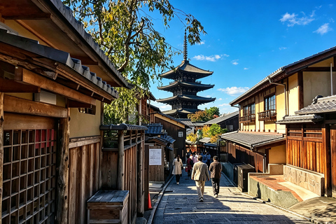 Osaka: Kiyomizu, Fushimi Inari, Nara & Gion Private Sightseeing Tours