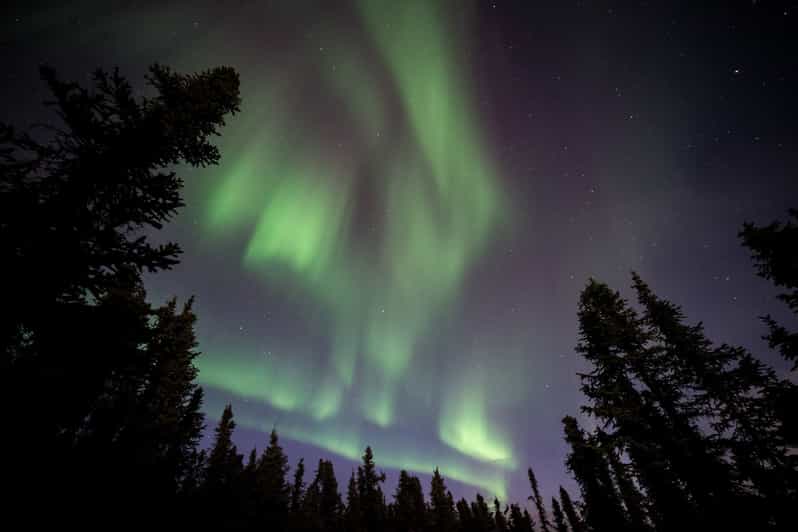 Healy Denali Aurora Quest GetYourGuide