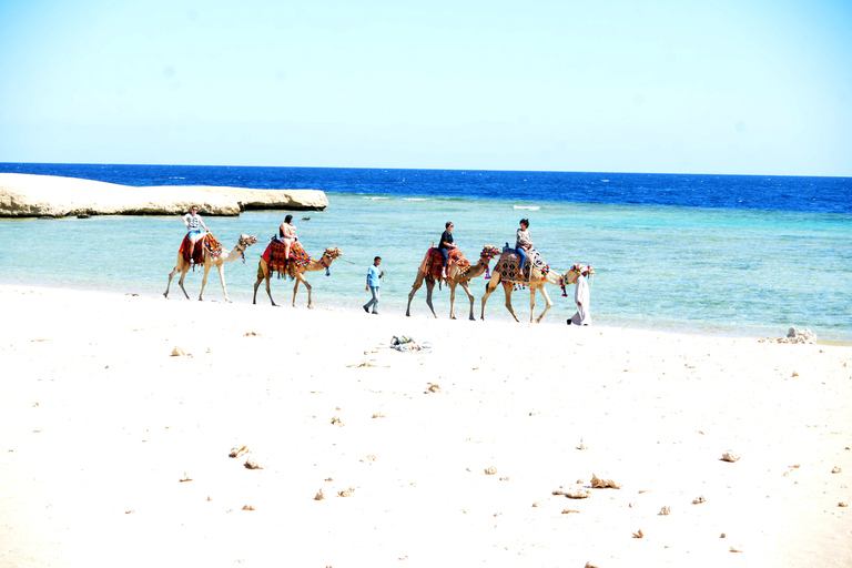 Hurghada: Paseo en camello por el mar y el desierto con cena, espectáculo y observación de las estrellasHurghada: 2 horas de paseo en camello solamente